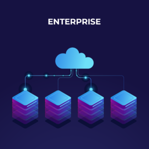 AWS Server - Enterprise Plan