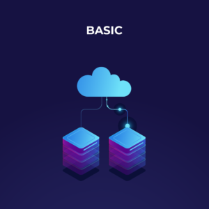 AWS Server - Basic Plan