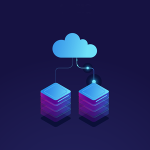 Custom Hosting